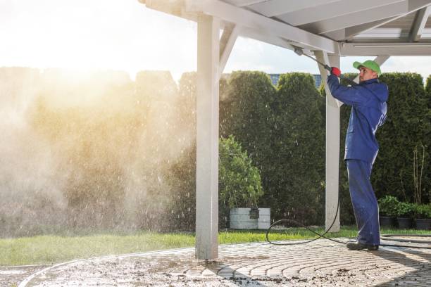 Pre-Holiday Cleaning in Golden Glades, FL